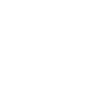 OpenServ Logo